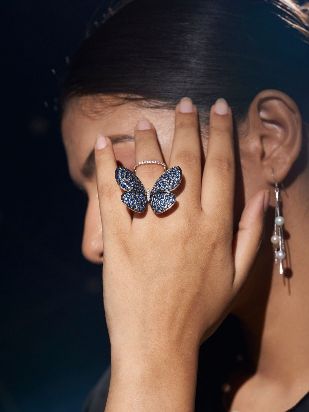 Silver Sky wing Flutter